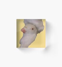 Warning Dove Acrylic Block