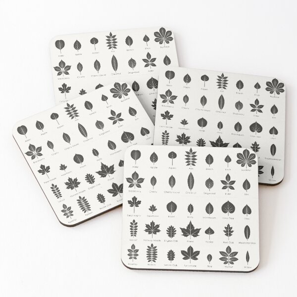 Item preview, Leaves of Trees and Shrubs Identification ID Chart designed and sold by Iris Luckhaus.