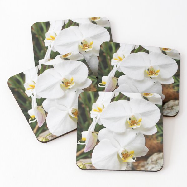 Item preview, White Orchids at the Tennessee Aquarium - Take Two designed and sold by Silver Sky by Janet.