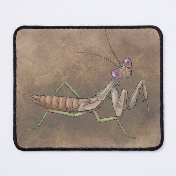 Item preview, Praying Mantis designed and sold by Tippitiwichet.