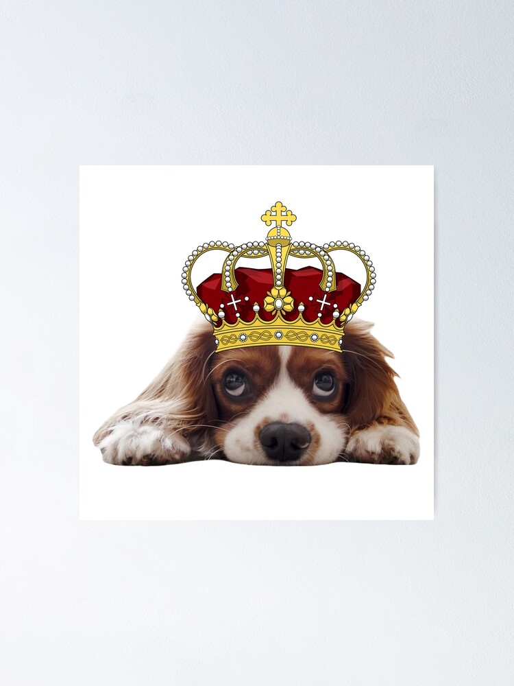 The King Charles the III, King of England Cavalier, Gift for The ..., image size:750x1000