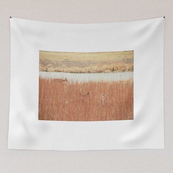 Item preview, Deer Behind Reeds in Rocky Mountain Arsenal National Wildlife Refuge, Colorado #2 designed and sold by ywphotos.