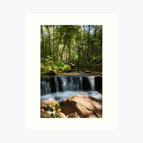 Item preview, Forest Falls designed and sold by BGSPhoto.