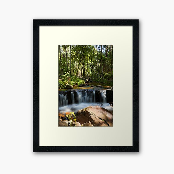 Item preview, Forest Falls designed and sold by BGSPhoto.