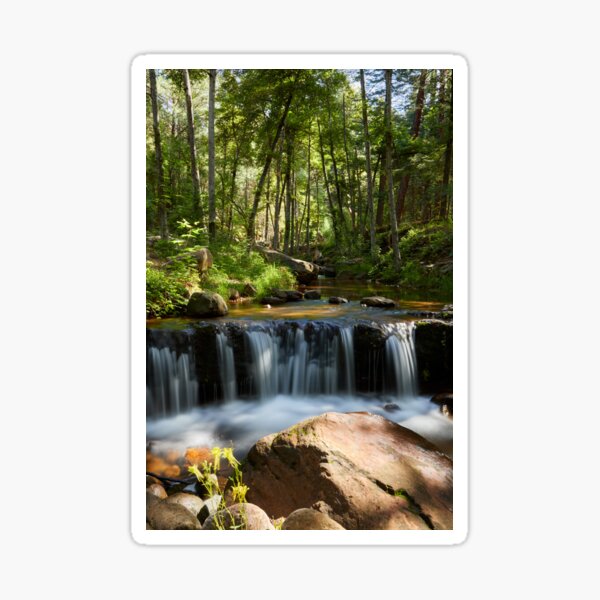 Item preview, Forest Falls designed and sold by BGSPhoto.