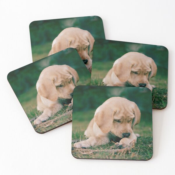 Item preview, Cute puppy enjoying summer designed and sold by riku05830.