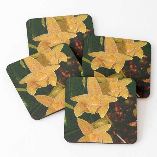 Item preview, Orquídea Bulbophyllum siamense designed and sold by Floral-Art.