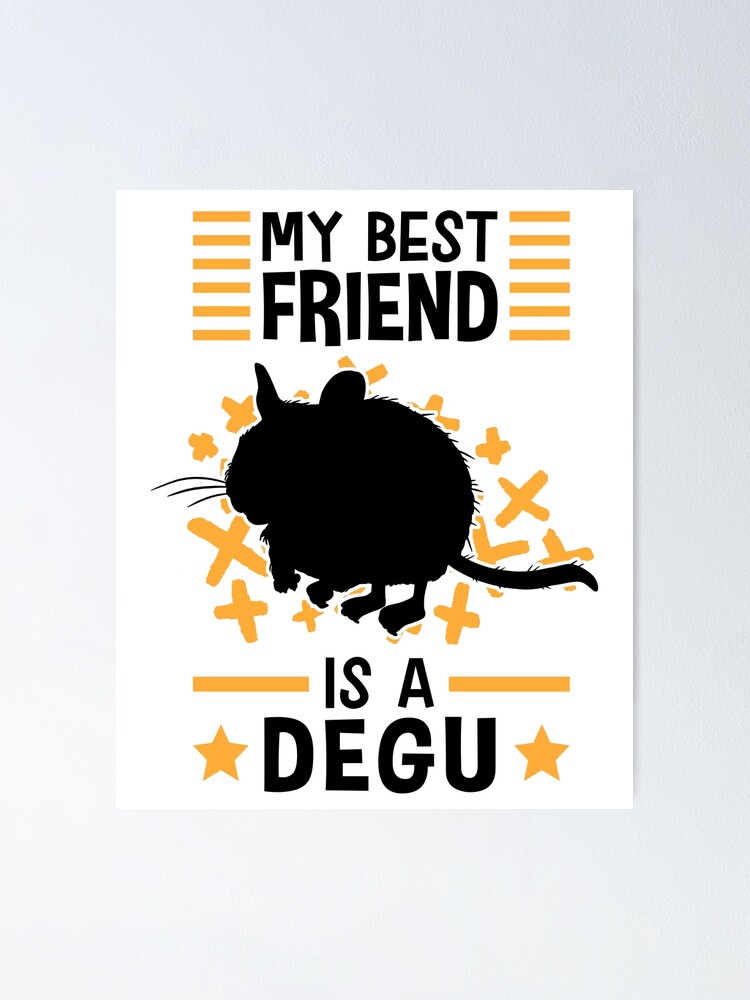 Degu is my rodent friend Chile Degus Poster