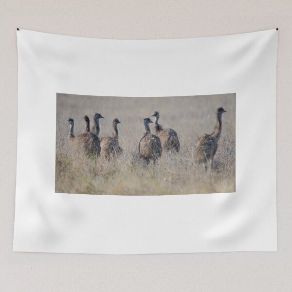 Item preview, Emus designed and sold by Frank Moroni.