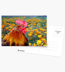 Poppycock Postcards