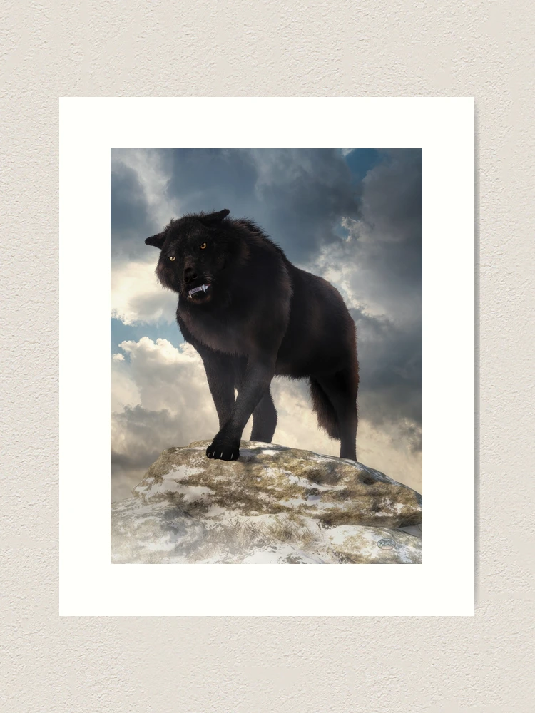 Angry Black Wolf