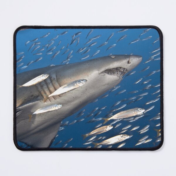 Item preview, Follow The Big Guy designed and sold by terry goss.