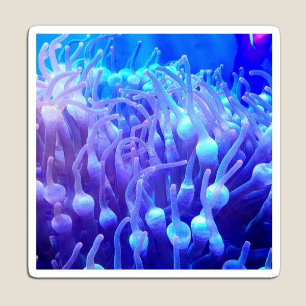 Item preview, Blue Purple Sea Anemone designed and sold by silviaol.