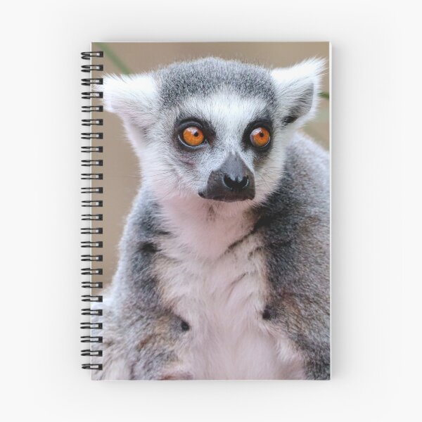 Item preview, Ring-tailed Lemur designed and sold by Julie Wilkinson.