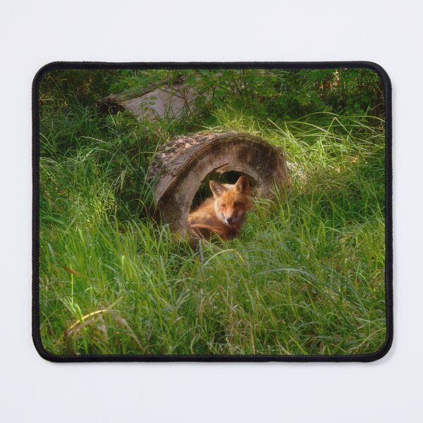 Item preview, Fox in a Log designed and sold by Kathy Weaver.
