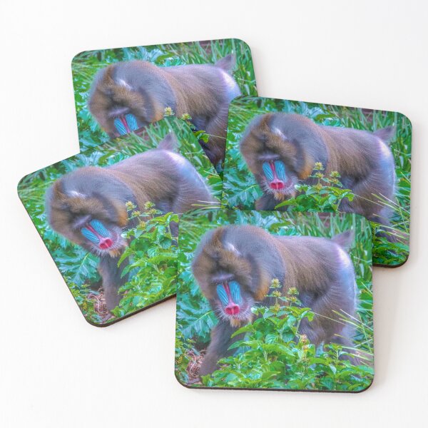 Item preview, Mandrill on the Move at Melbourne Zoo designed and sold by Steven Jodoin.
