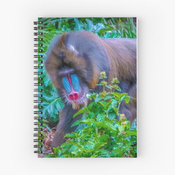 Item preview, Mandrill on the Move at Melbourne Zoo designed and sold by Steven Jodoin.