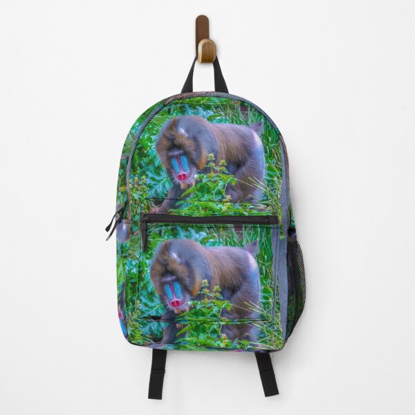 Item preview, Mandrill on the Move at Melbourne Zoo designed and sold by Steven Jodoin.