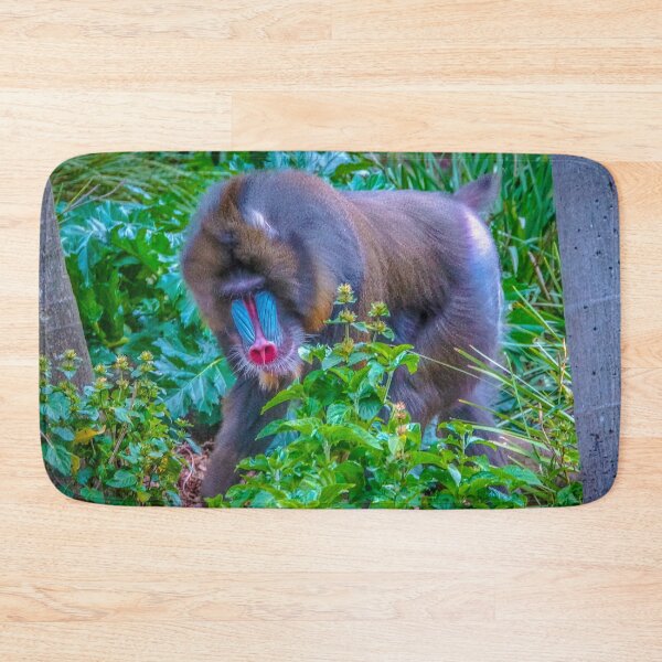 Item preview, Mandrill on the Move at Melbourne Zoo designed and sold by Steven Jodoin.