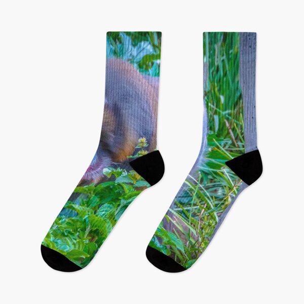 Item preview, Mandrill on the Move at Melbourne Zoo designed and sold by Steven Jodoin.