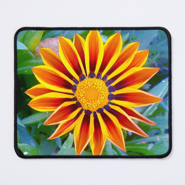 Item preview, 71516037 designed and sold by RealFlower.