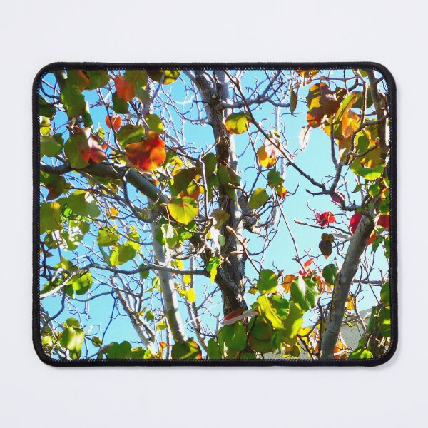 Item preview, 71515082 designed and sold by RealFlower.