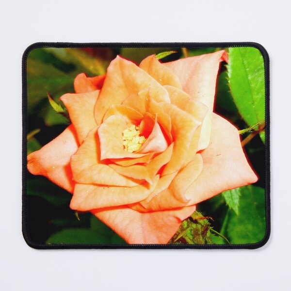 Item preview, 58411471 designed and sold by RealFlower.