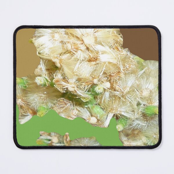 Item preview, 58409293 designed and sold by RealFlower.