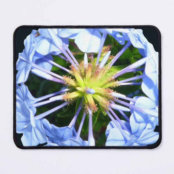 Item preview, 56541905 designed and sold by RealFlower.
