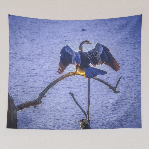 Item preview, Australian Darter Drying its Wings designed and sold by Steven Jodoin.