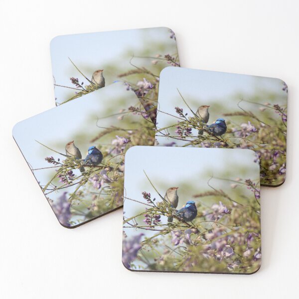 Item preview, Splendid Fairy-Wrens or Blue Wrens (Malurus splendens) designed and sold by Marilyn Harris.