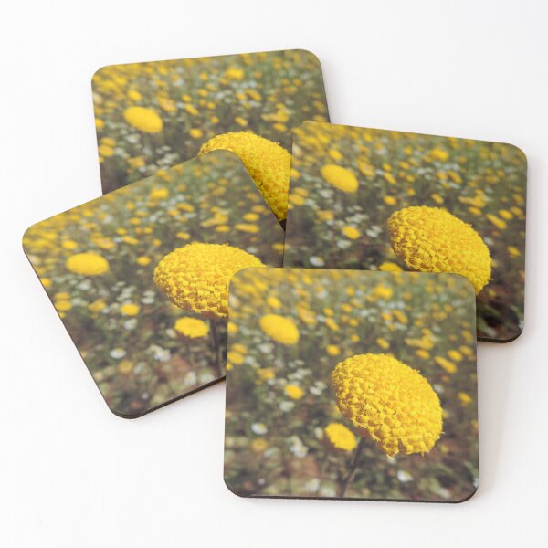 Item preview, Fields of Yellow Flowering Helipterum craspedioides designed and sold by Marilyn Harris.