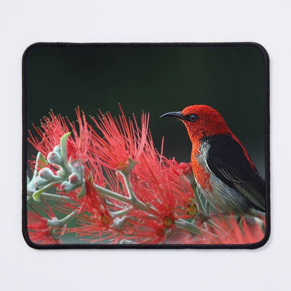 Item preview, Red Bird And Flowers designed and sold by Taceo10.