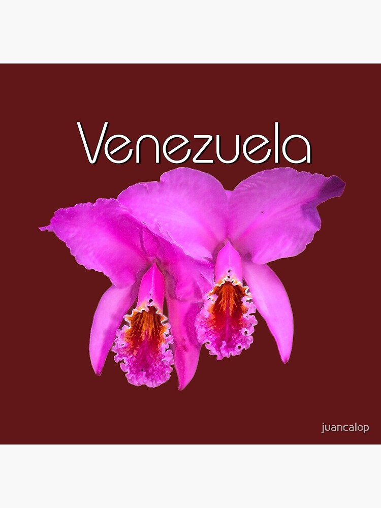 Bolsa de tela «Orquideas venezolanas Catleya» de juancalop | Redbubble