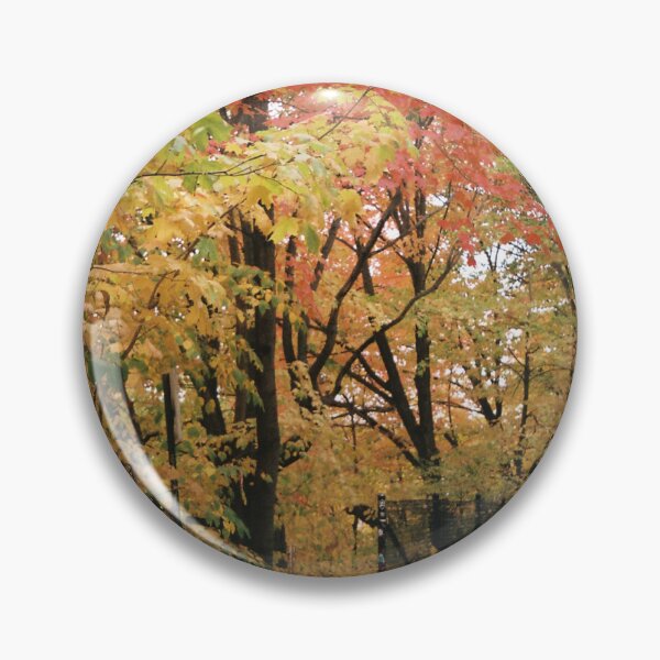 Item preview, Autumn skate with Lexie designed and sold by jennapoffphotography.