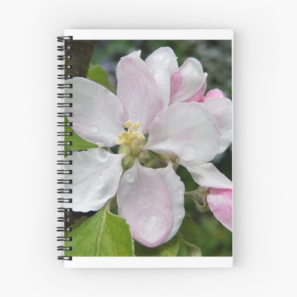 Item preview, Apple Blossom designed and sold by Sharon Hayward.
