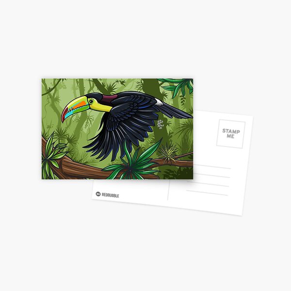 iris billed toucan Postcard