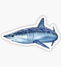 Mako Shark Sticker
