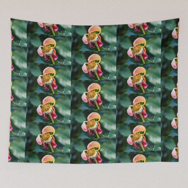 Item preview, Spent designed and sold by Thaddeus Zajdowicz.