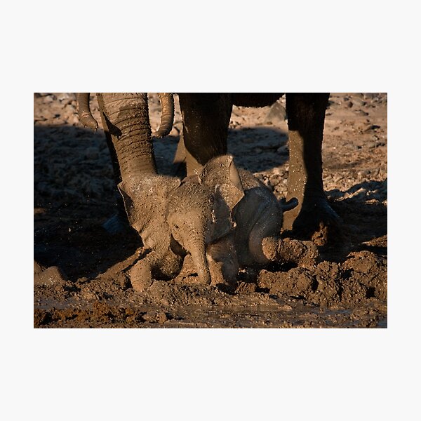Baby's first mudbath Photographic Print