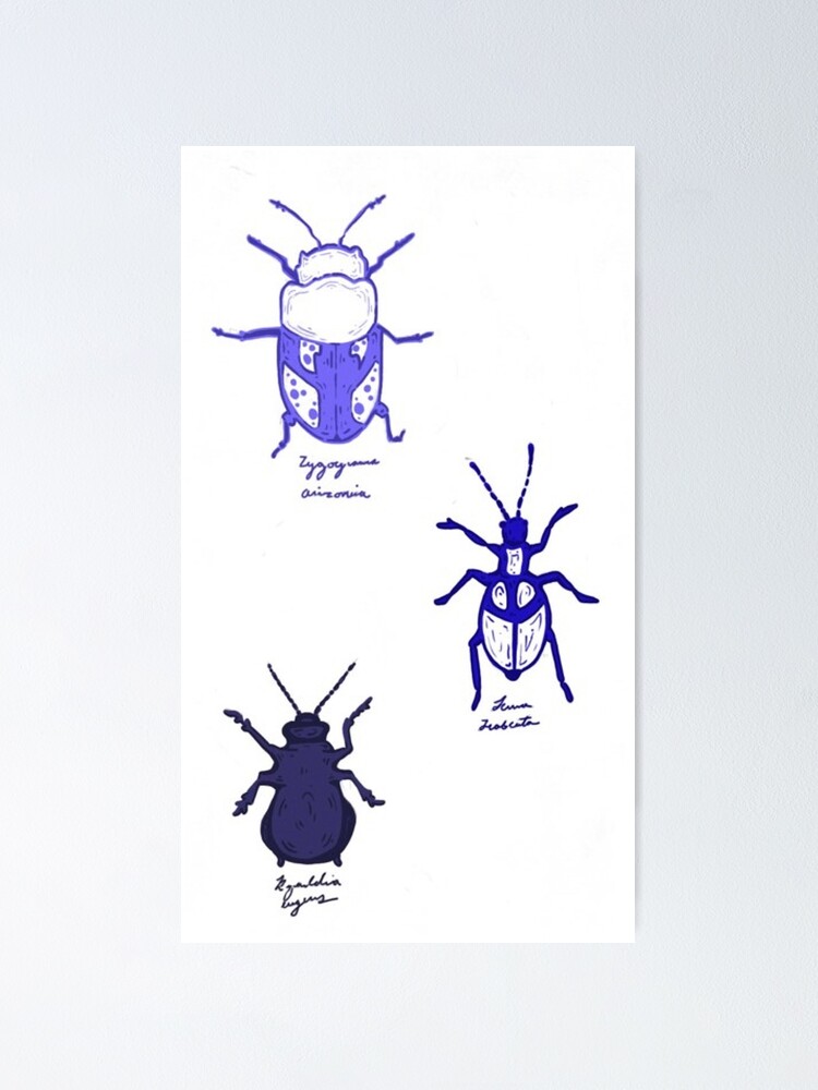 "Beetle Chart" Poster for Sale by ShopAutumnGrace Redbubble