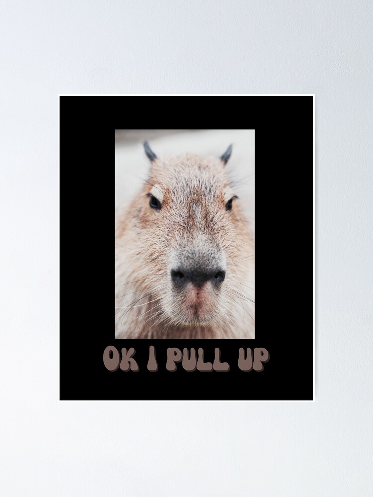 Ok I Pull Up.Capybara Meme-Funny Quotes Poster for Sale by star27air