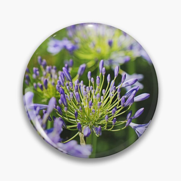 Item preview, Agapanthus A Walk Through Garden  designed and sold by Joy Watson - Natural Light Photography .