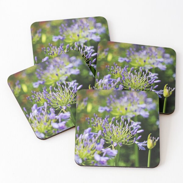 Item preview, Agapanthus A Walk Through Garden  designed and sold by Joy Watson - Natural Light Photography .