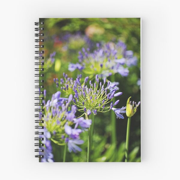 Item preview, Agapanthus A Walk Through Garden  designed and sold by Joy Watson - Natural Light Photography .