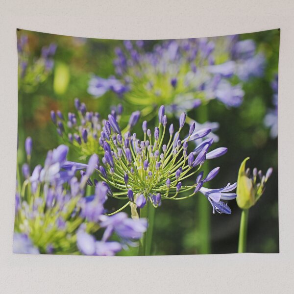 Item preview, Agapanthus A Walk Through Garden  designed and sold by Joy Watson - Natural Light Photography .