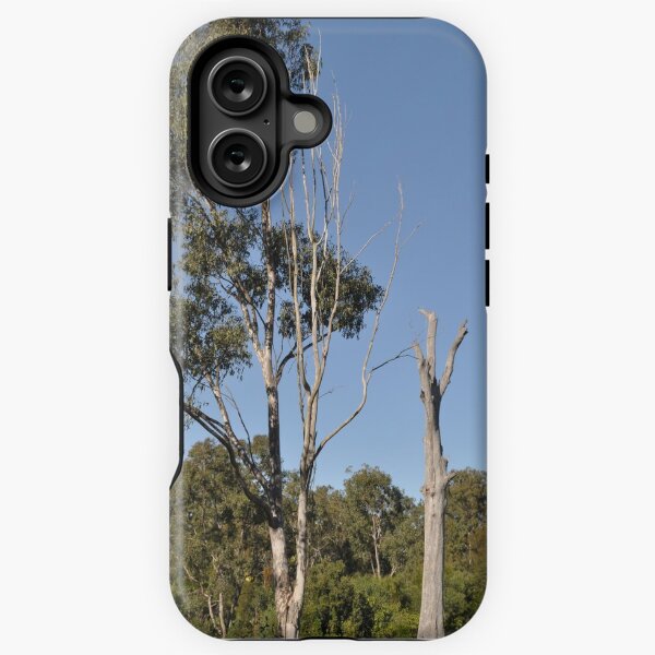 Item preview, Bush clearing designed and sold by Kerry LeBoutillier.