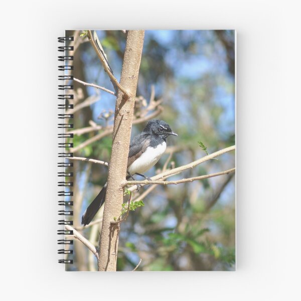 Item preview, Where is the willie wagtail designed and sold by Kerry LeBoutillier.