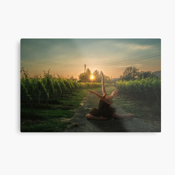 Framing sunset Metal Print