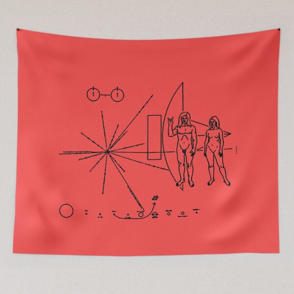 Item preview, Rock the Universe - modified pioneer plaque designed and sold by Rob Price.